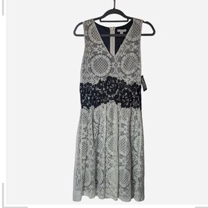 New York & Company Gray Dress with Black Lace